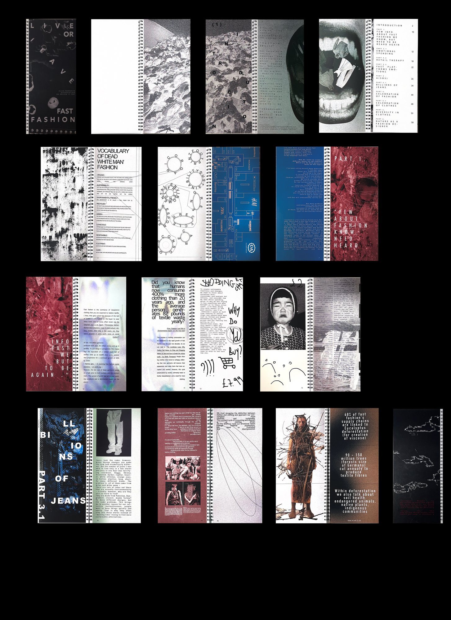 Final Zine Dissertation, Live or Leave